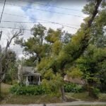 Scenery-5- 3D Decorative