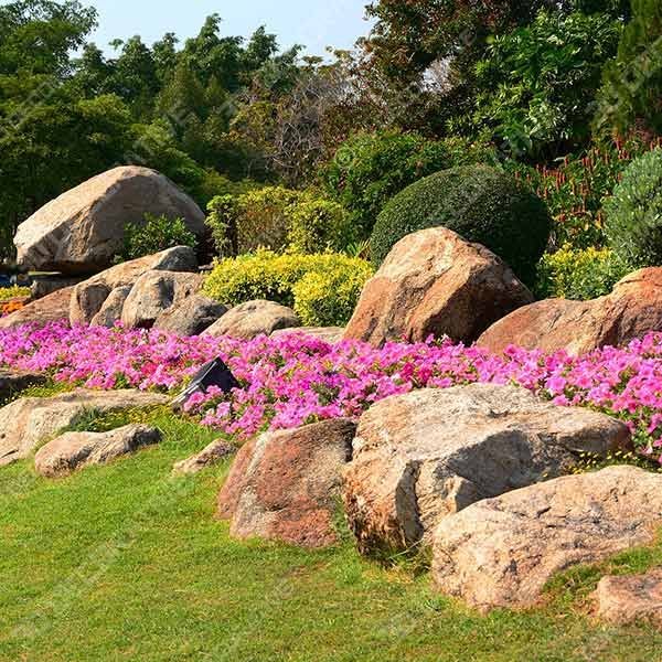 Parks - 3D Decorative