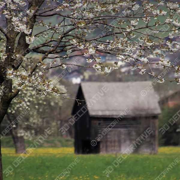 village - 3D Decorative