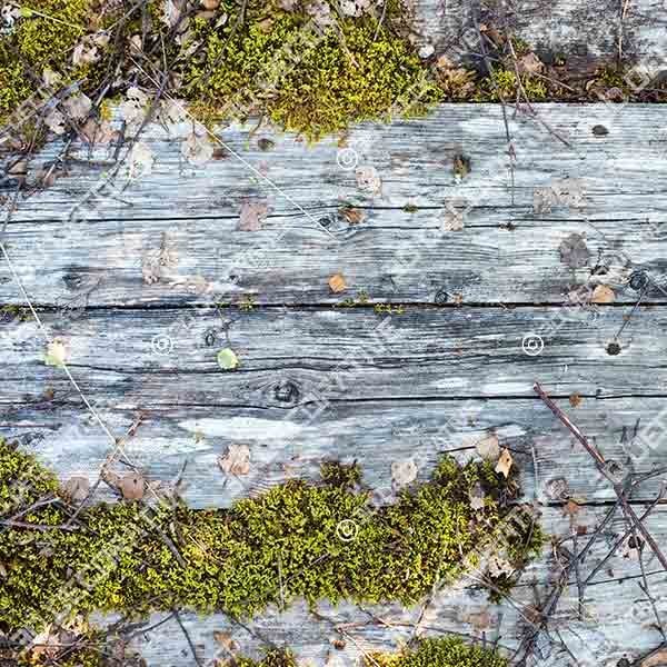 Wood Texture 18 - 3D Decorative