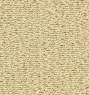 Carpet - 3D Models & Texture for 2020 Design  - 3D Decorative