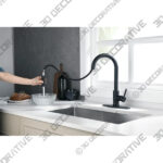 Black Tohlar Pull Down Kitchen Faucet - 3D Decorative