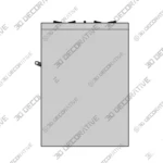 36 Slide In Gas Range 5 Burner Single Oven 3D Models